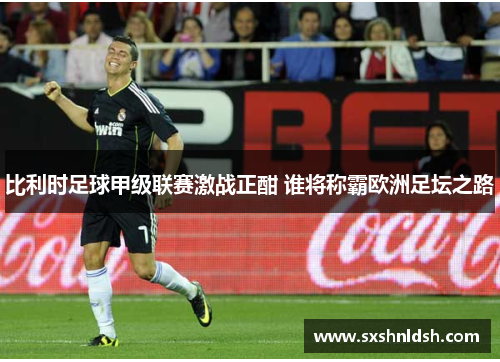 比利时足球甲级联赛激战正酣 谁将称霸欧洲足坛之路