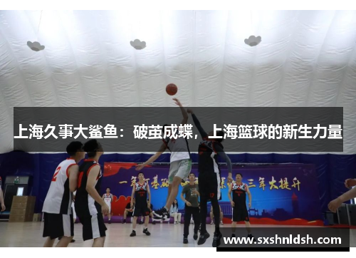 上海久事大鲨鱼：破茧成蝶，上海篮球的新生力量