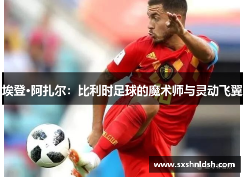 埃登·阿扎尔:比利时足球的魔术师与灵动飞翼 埃登·阿扎尔:比利时足球的魔术师与灵动飞翼