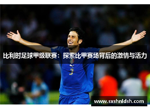 比利时足球甲级联赛：探索比甲赛场背后的激情与活力