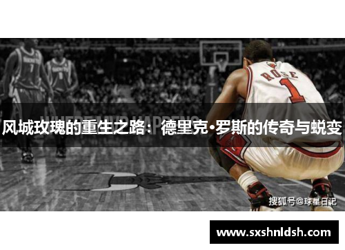 风城玫瑰的重生之路：德里克·罗斯的传奇与蜕变