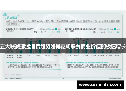 五大联赛球迷消费趋势如何驱动联赛商业价值的极速增长