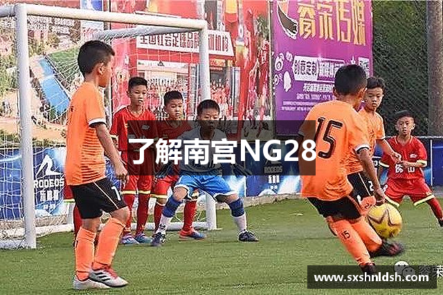 了解南宫NG28